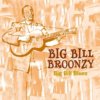 Big Bill Blues CD Big Bill Blues CD